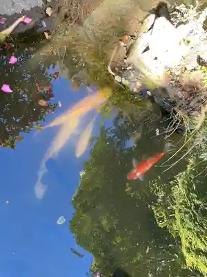 大綱金刀比羅神社(神奈川県)