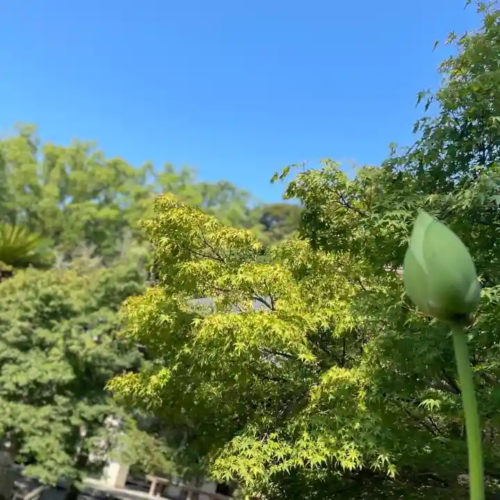 伊勢の国 四天王寺の自然