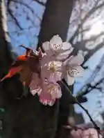 手稲神社(北海道)