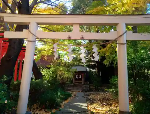 若宮八幡宮 の鳥居