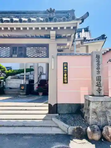 圓通寺の{uncategorized: "未分類", other: "その他", undefined: "問題あり", building: "その他建物", grave: "お墓", sacred_gate: "鳥居", guardian: "狛犬", statue: "像", buddha: "仏像", history: "歴史", nature: "自然", garden: "庭園", animal: "動物", pagoda: "塔", temizu: "手水舎", mountain_gate: "山門・神門", sanctuary: "本殿・本堂", subordinate: "末社・摂社", art: "芸術", scenery: "景色", jizo: "地蔵", ema: "絵馬", goshuin: "御朱印", omikuji: "おみくじ", items: "授与品その他", amulet: "お守り", goshuincho: "御朱印帳", eats: "食事", festival: "お祭り", votive_dance: "神楽", shichigosan: "七五三参", wedding: "結婚式", experience: "体験その他", initially: "初詣", around: "周辺", anti_infection: "感染症対策"}