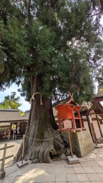 春日大社(奈良県)