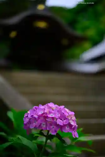 円覚寺(神奈川県)