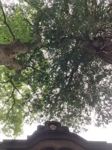 新海三社神社(長野県)