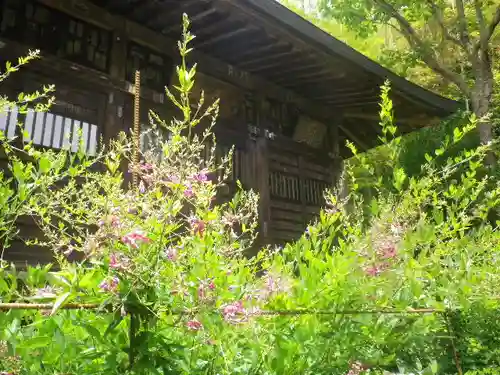 浄光明寺の自然