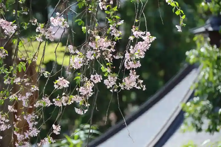 華正院の景色