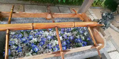 晴明神社の手水舎