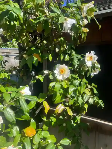 五條天神社(東京都)