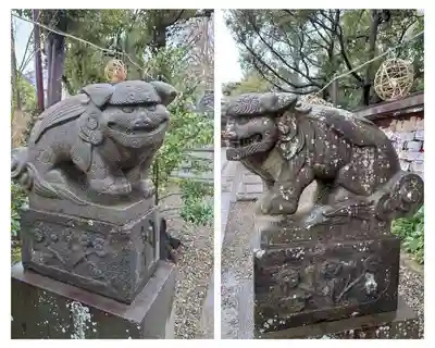 菊田神社の狛犬