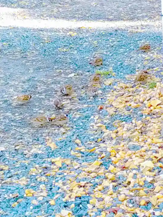 札幌諏訪神社の動物