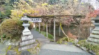 富士山本宮浅間大社(静岡県)