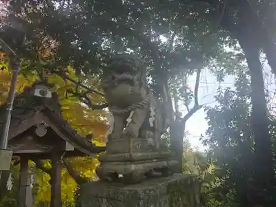 小椋神社(滋賀県)