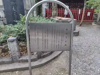 富岡八幡宮(東京都)