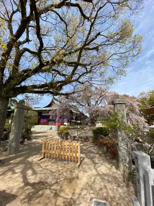 観音神社のその他建物