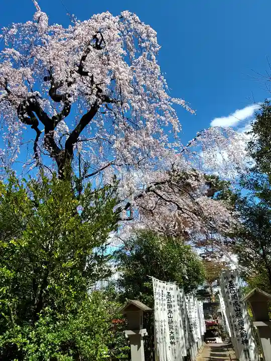 開成山大神宮(福島県)