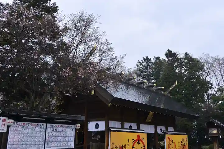 櫻木神社(千葉県)