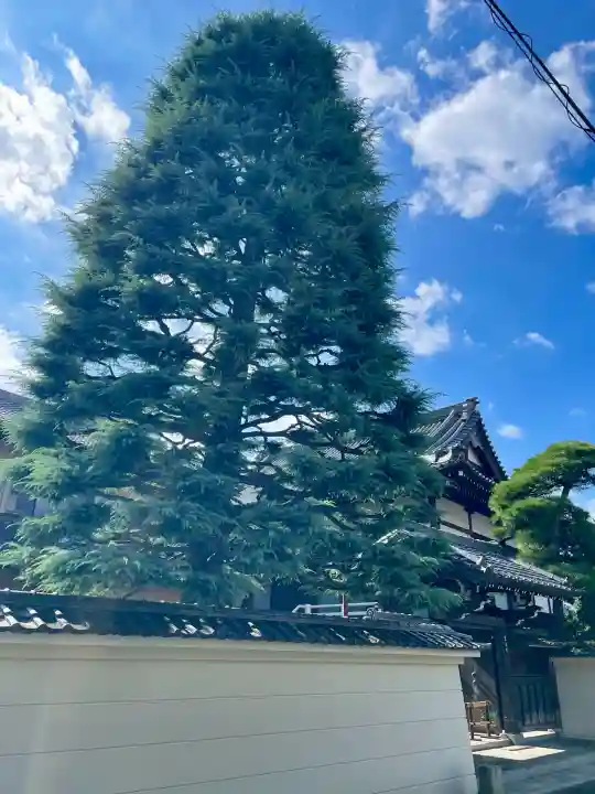 霊泉院(東京都)