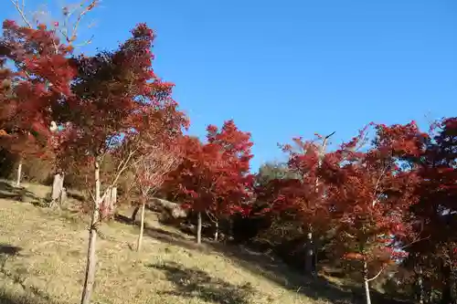 葭原観音堂(静岡県)