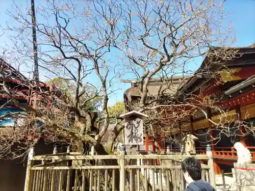 太宰府天満宮の庭園