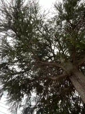 武蔵第六天神社(埼玉県)