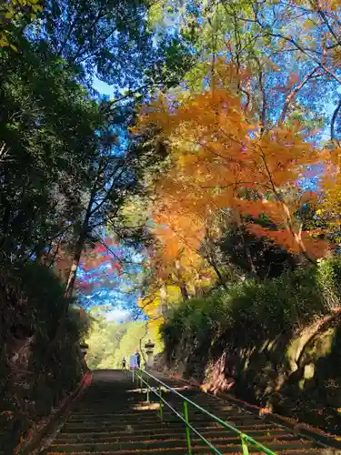 新田神社の建物その他