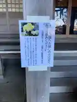 艫神社(茨城県)