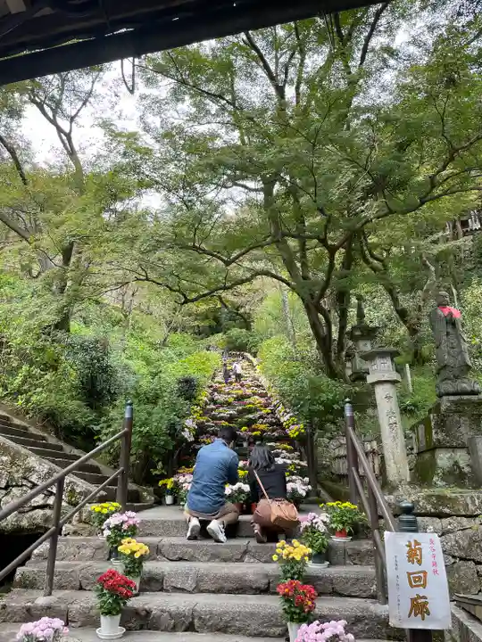 長谷寺(奈良県)