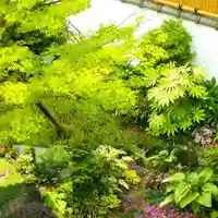 寿量山 速成寺の庭園