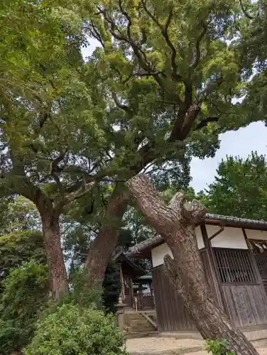 常磐神社(京都府)