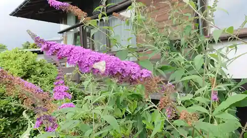 真言宗神道派大本山 宝珠院の自然