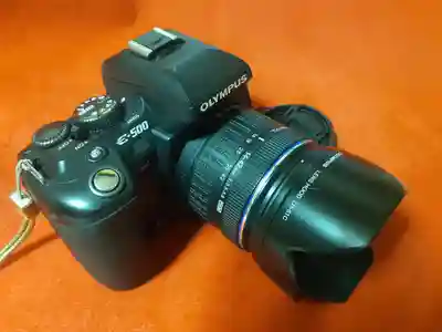 増上寺(東京都)