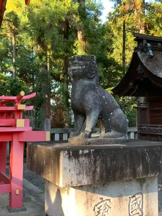 日吉神社の狛犬
