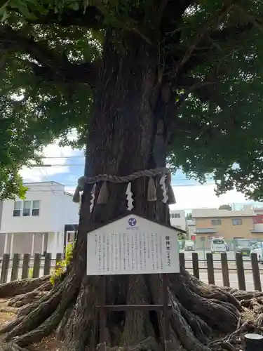 神明宮(青森県)