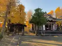 金山神社(若宮八幡宮境内社)の本殿・本堂