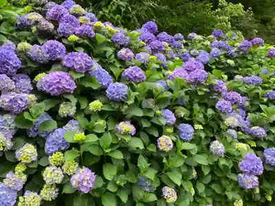 王子神社(東京都)