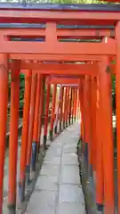 根津神社の鳥居