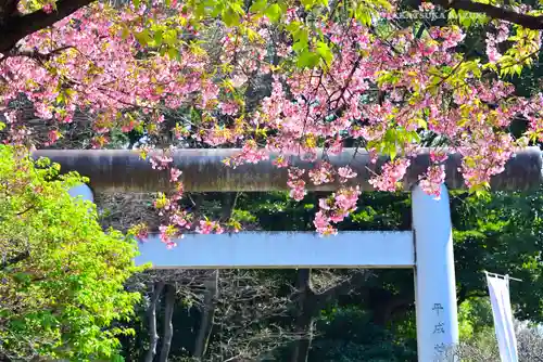 五條天神社の鳥居