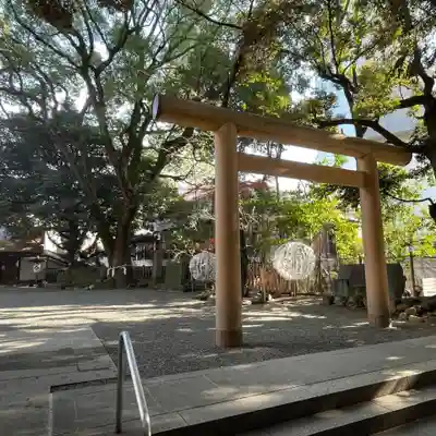 乃木神社の鳥居