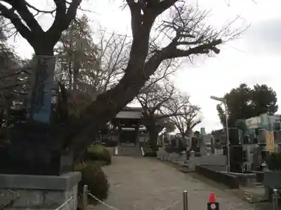 妙光寺(神奈川県)