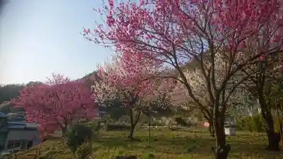 立花神社の庭園