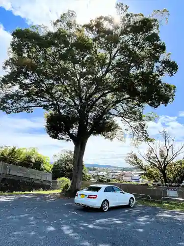 多田神社(兵庫県)