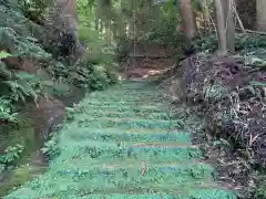 白山神社の自然