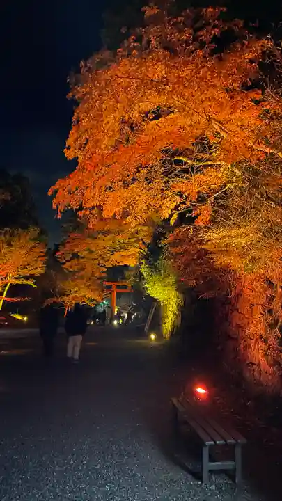 日吉大社(滋賀県)