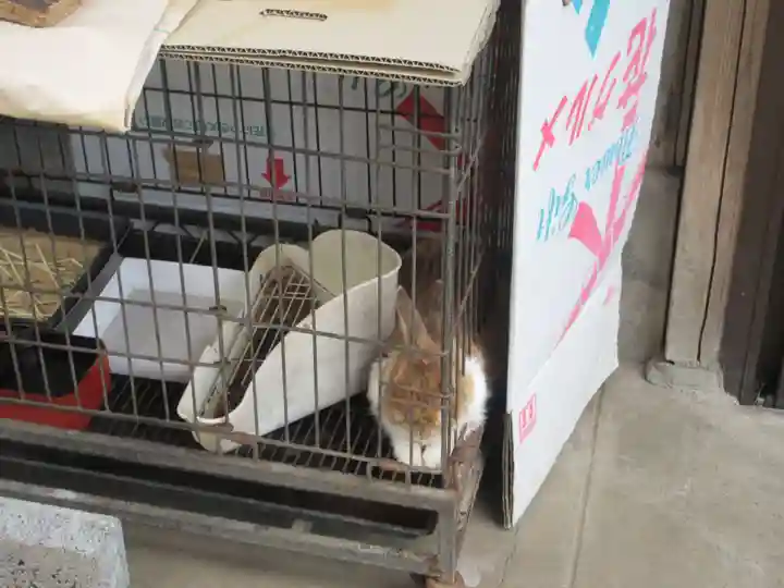 秩父札所十三番 慈眼寺(埼玉県)