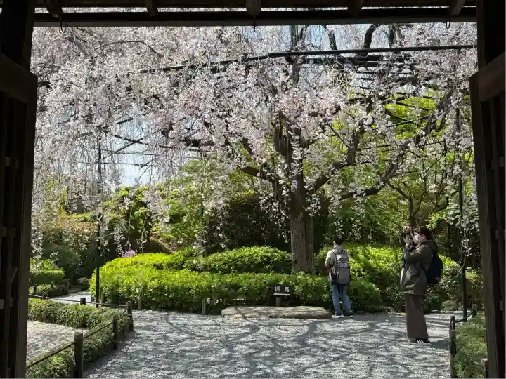 退蔵院(京都府)