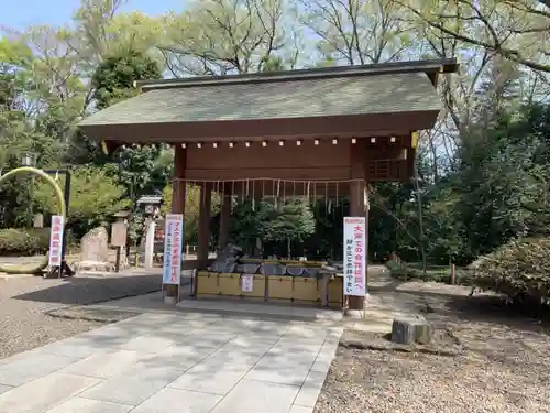 櫻木神社の手水舎