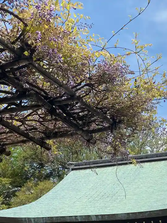 白峯神宮の庭園