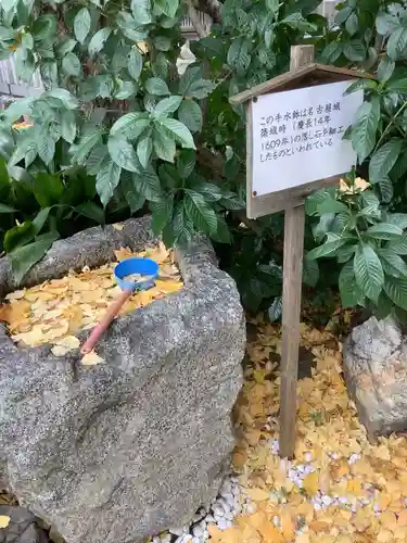 八王子神社 春日神社（清水町）の手水舎