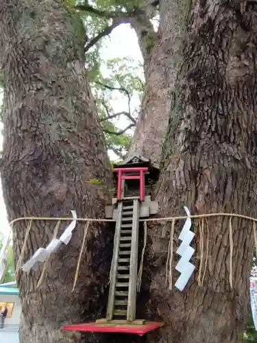 加藤神社の末社