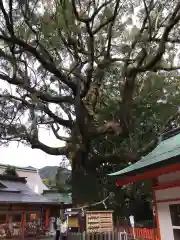 熊野那智大社の建物その他